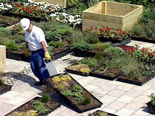 طراحی و اجرای روف گاردن