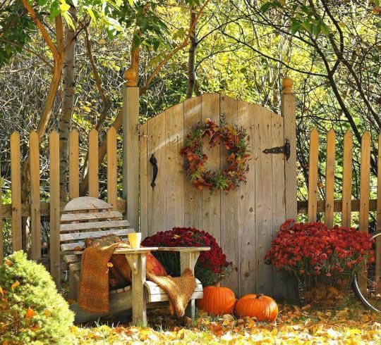 باغ اتلیه عروس