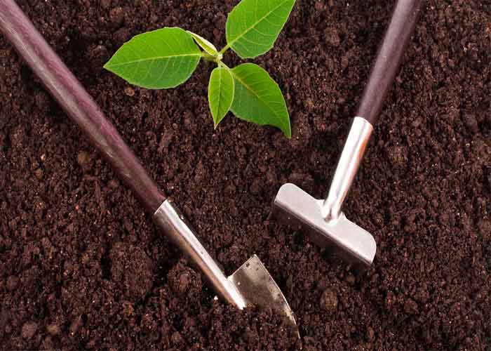 مراحل ساخت باغ در کرج