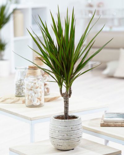 1d2ebae3390046ba92765515dc346d01