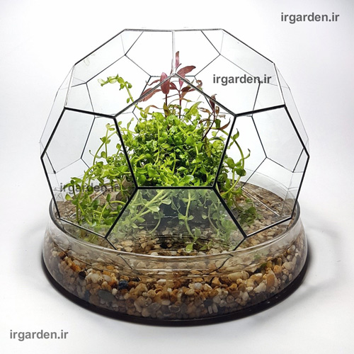 4867af43cb1a48adbd50ede2978d9c40