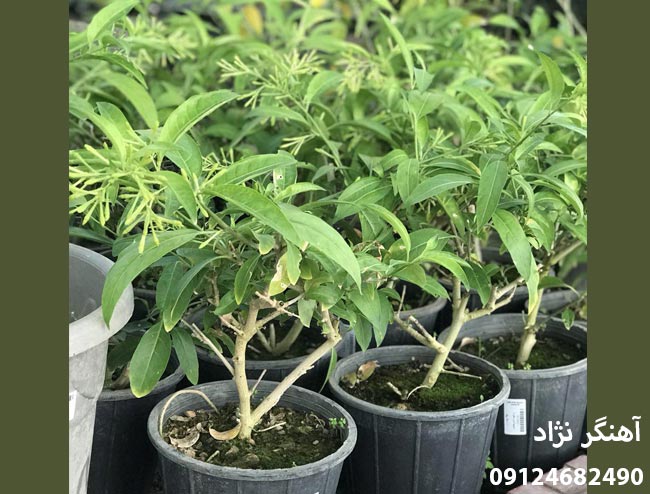 b8a0e4f8587744af9b8640280379f148