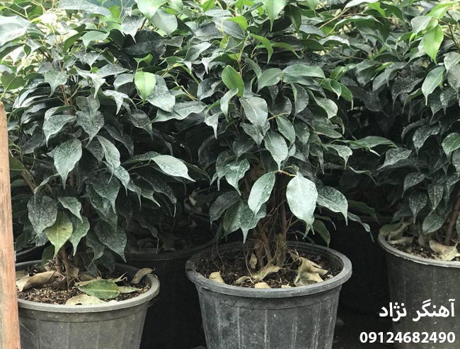 cbf470a94dce42fc90a8eb3cfedf418c