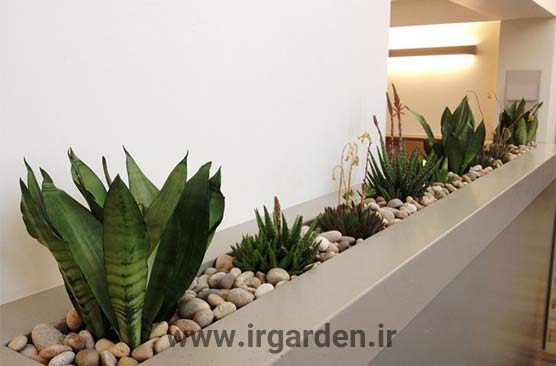 طراحی فضای سبز 6 طراحی فضای سبز با فلاورباکس