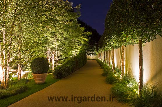 طراحی فضای سبز 9 طراحی فضای سبز با نورپردازی